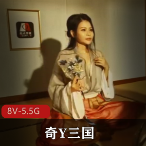 起点传媒奇Y三国创意合集8V5.55G，舌战群儒，独特视角