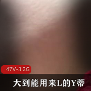 资源合集双X人口味重味大到能用来L的Y蒂最新合集47V3.2G，多个国家小视频
