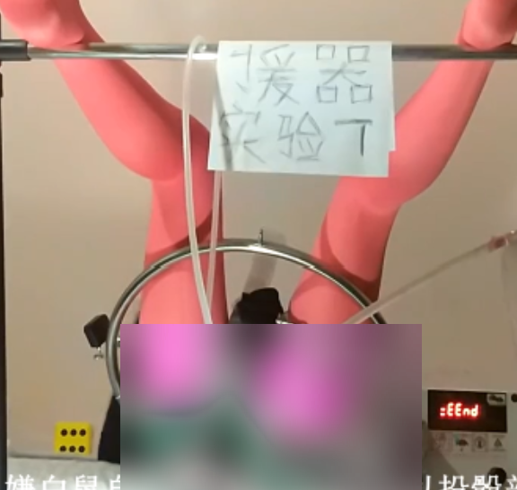 骚艳援器学会视频5部10G网盘