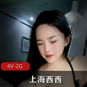推特上海西西酒店自拍4V2G欲罢不能