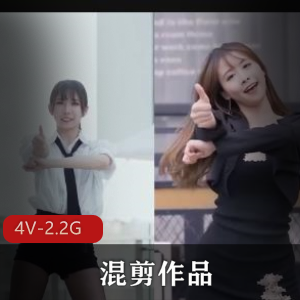 混剪tiktokPMV抖N舞B站4V2.2G超劲爆