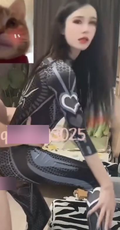 漂亮王佳颖TS视频1部239M自行打包